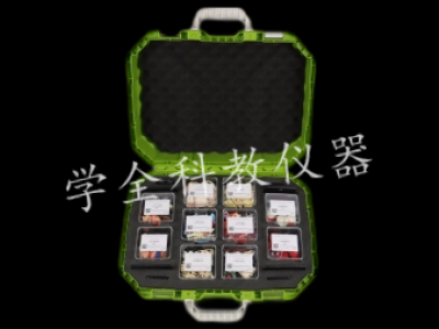 16小学人体结构实验箱